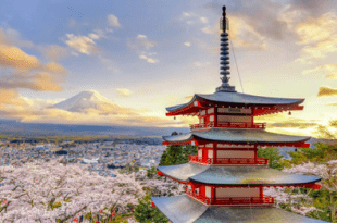 ¿Por qué es el mejor momento de viajar a Japón?